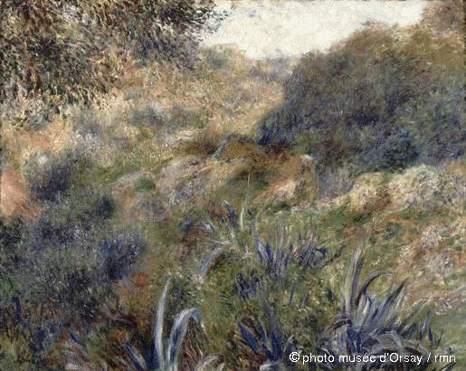 Renoir PA paysage algérien le ravin de la femme sauvage