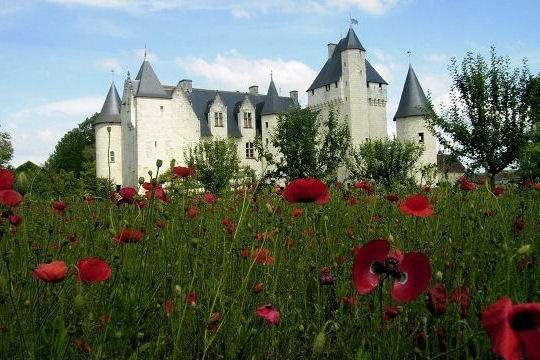 chateau-le-Rivau