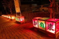 Japon light Signboard