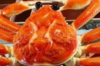 Japon food kani big crab