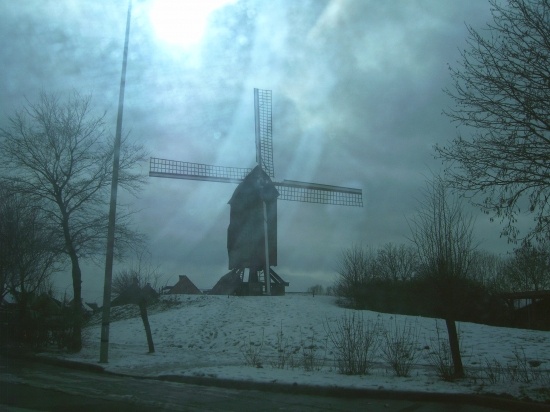 Bruges l'hiver