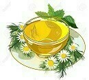 14397820-beautiful-cup-of-herbal-tea