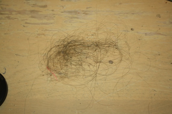 Touffe de cheveux après brossage. - Cheveux Avril - Minoxidil 2% ...
