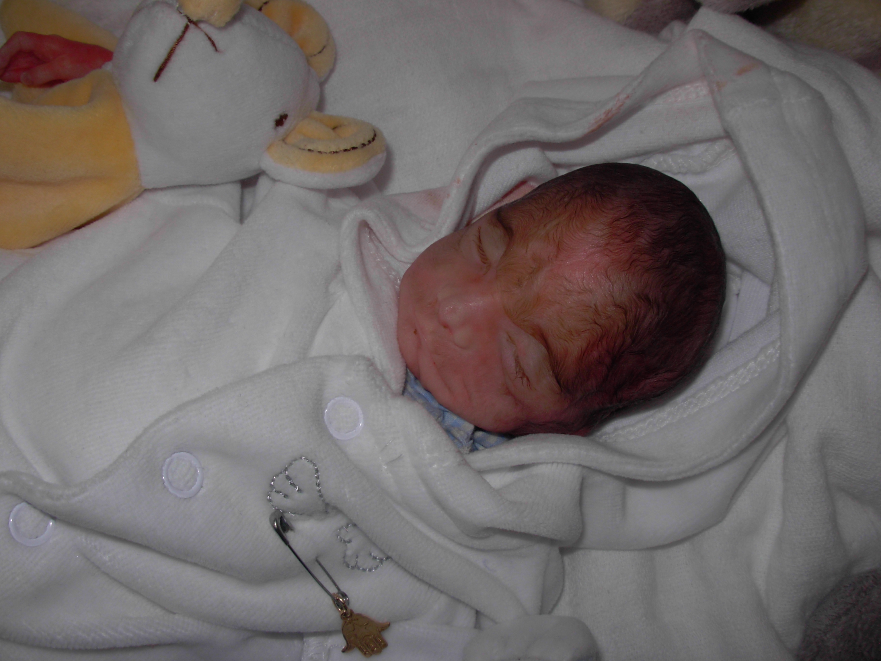 Incineration Ou Enterrement Regret Ou Pas Page 2 Img Interruption Medicale De Grossesse Deuil Perinatal Forum Grossesse Amp Bebe Doctissimo Incineration Ou Enterrement Regret Ou Pas Page 2 Img Interruption Medicale De Grossesse Deuil Perinatal Forum Grossesse Amp Bebe Doctissimo