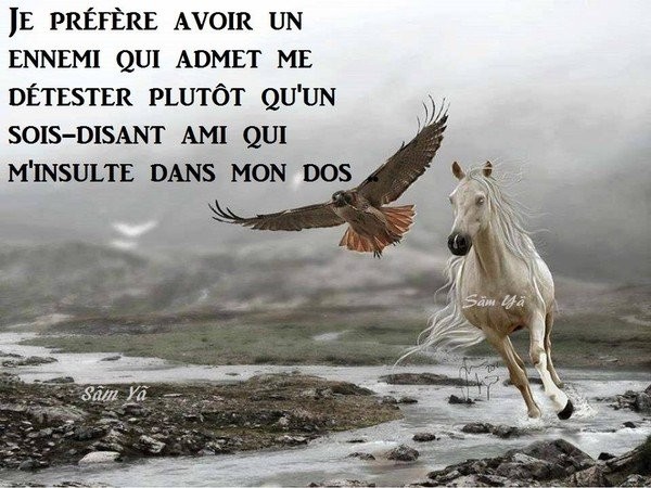 Les Faux Amis Amities Et Relations Personnelles Forum Psychologie Doctissimo Les Faux Amis Amities Et Relations Personnelles Forum Psychologie Doctissimo
