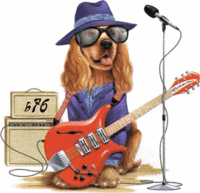 chien guitare