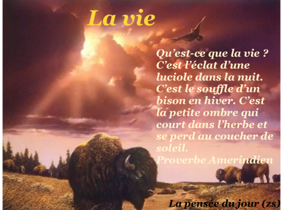 Citation 2 Sagesse Amerindienne Soledadalone Photos Club Doctissimo