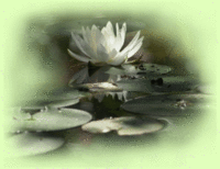zen-yoga-fleur
