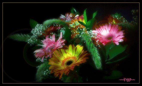 95021-Glowing-Bouquet