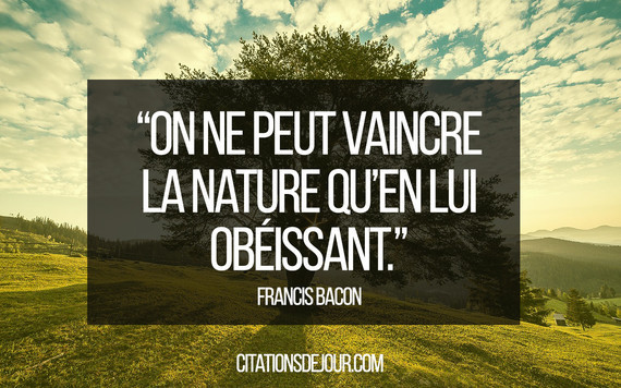 Citation Sur La Nature Francis Bacon Proverbes 3 Soledadalone Photos Club Doctissimo