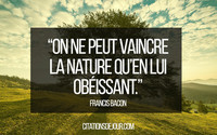 citation-sur-la-nature-Francis-Bacon