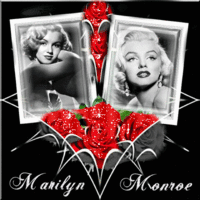 Marilyn livre