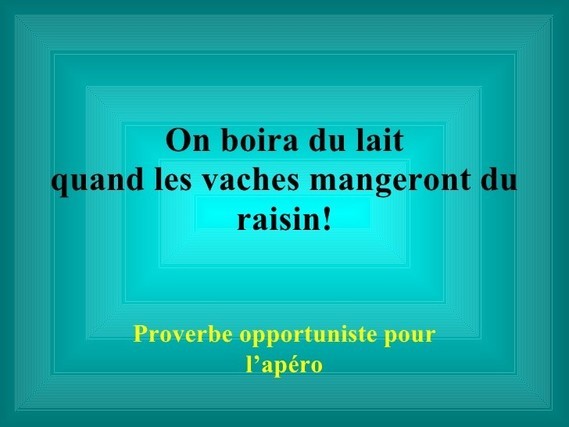 fauxproverbes-0-11-728