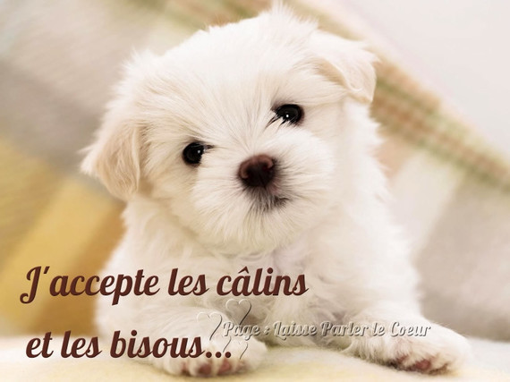 Carte Bisous Calins Soledadalone Photos Club Doctissimo Carte Bisous Calins Soledadalone Photos Club Doctissimo