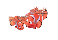 Nemo bisous