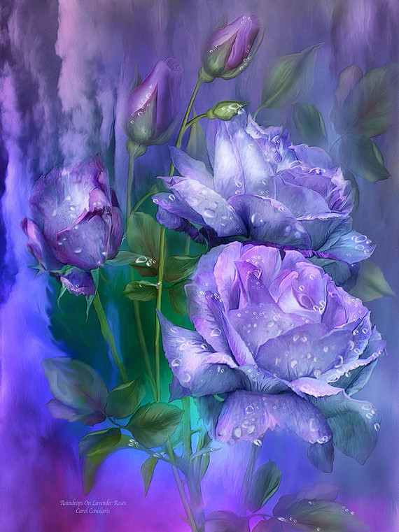 raindrops-on-lavender-roses-carol-cavalaris