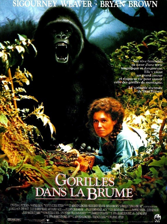 Affiche Gorilles_dans_la_brume