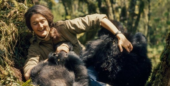Dian Fossey (6)