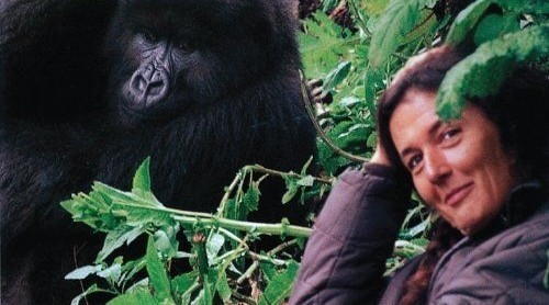 Dian Fossey (8)