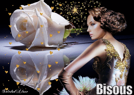 Bisous Rose blanche reflet