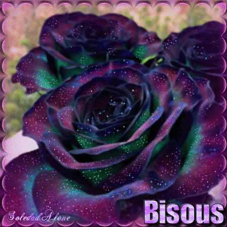 Bisous rose violette
