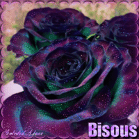Bisous rose violette