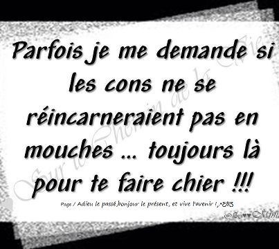 Citation Cons Humour Soledadalone Photos Club Doctissimo