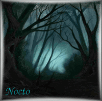 Nocto (2)