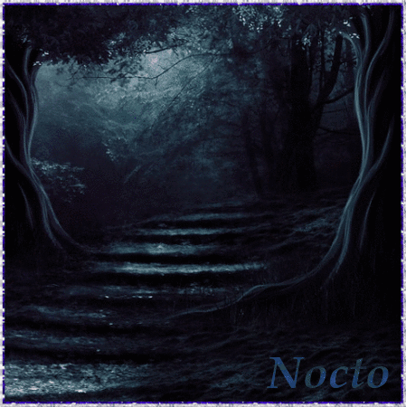 Nocto (1)