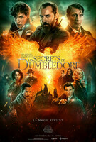 Les secrets de Dumbledore