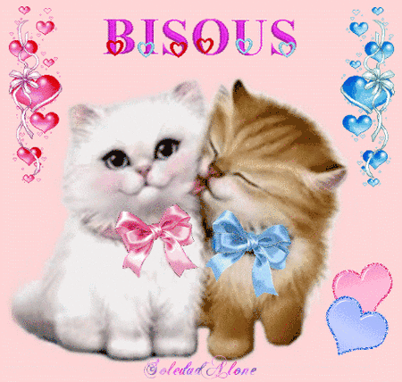 Bisous Chatons