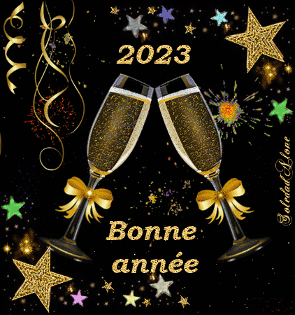 Bonne année Champagne 2023