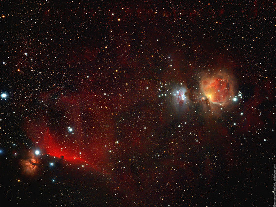 ORION: à gauche la Nébuleuse de la Flamme (NGC 2024), la Tête de Cheval+nébuleuse d'Orion à droite