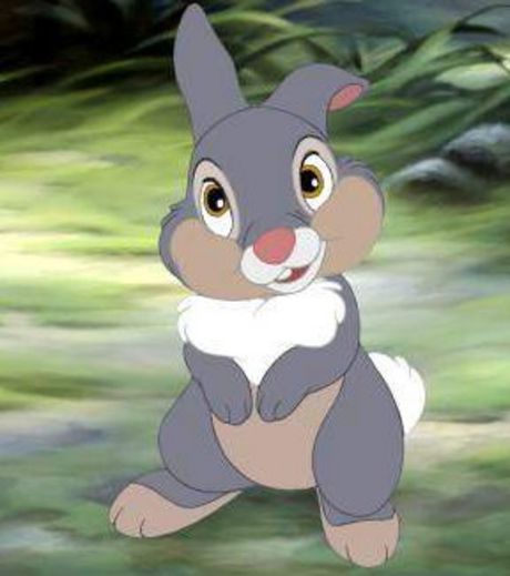 Panpan le lapin dans Bambi LAPINS desenfers Panpan le lapin dans Bambi LAPINS desenfers