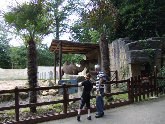 zoo amnevill 2012