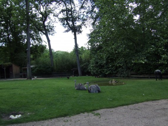 zoo amneville 2012