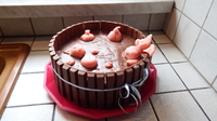 piscine chocolat pour cochons