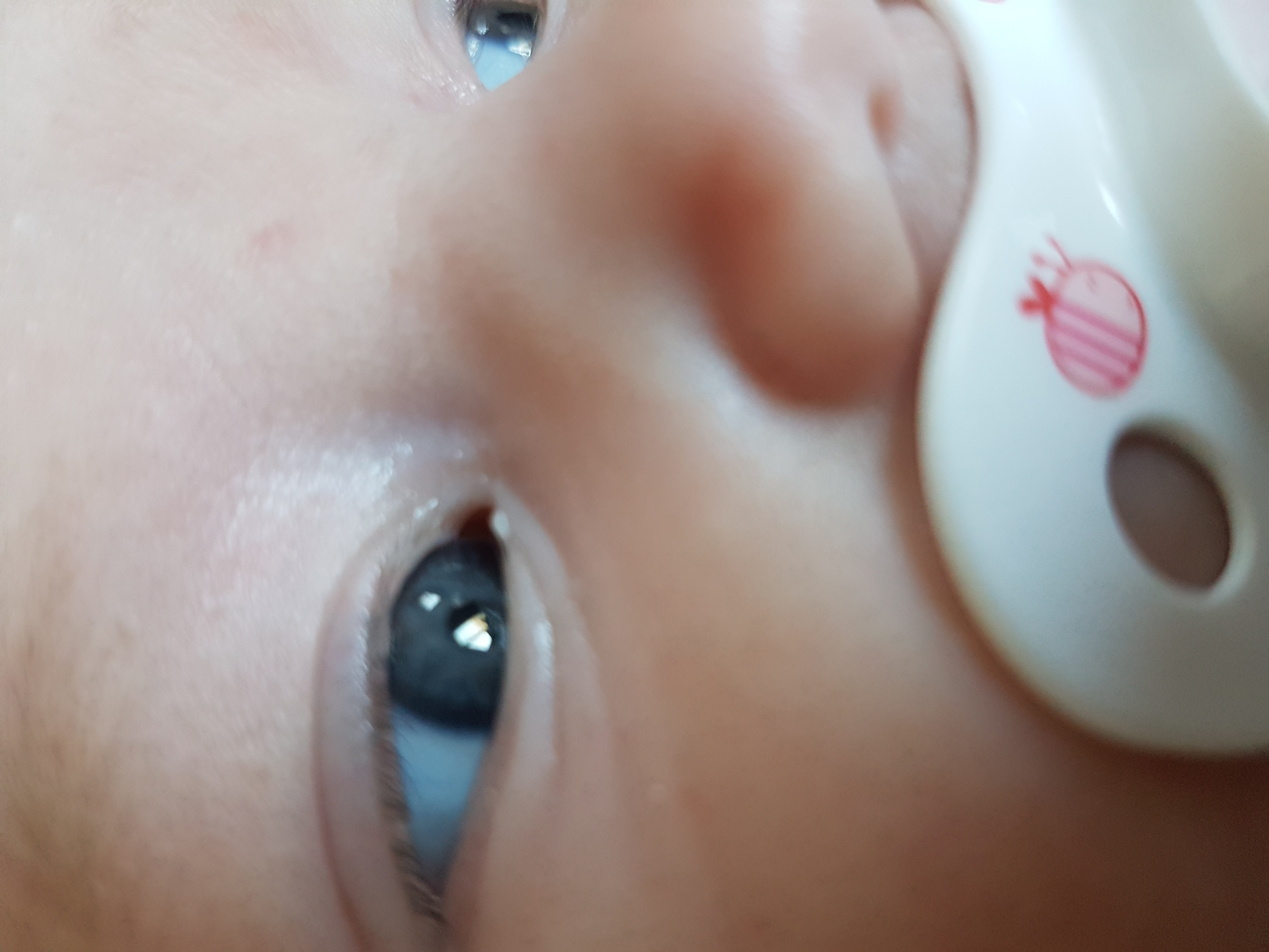 Couleur Yeux Bebe 5 Mois Papa Yeux Bleus Maman Yeux Marrons Verts Developpement De L Enfant Forum Grossesse Amp Bebe Doctissimo Couleur Yeux Bebe 5 Mois Papa Yeux Bleus Maman Yeux Marrons Verts Developpement De L Enfant Forum Grossesse Amp Bebe Doctissimo