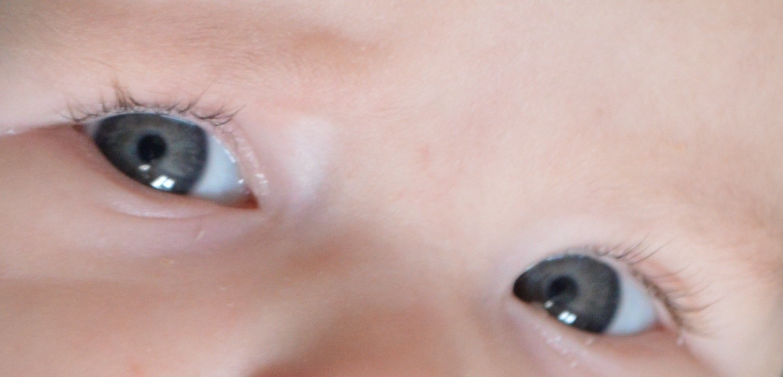 Couleur Yeux Bebe 5 Mois Papa Yeux Bleus Maman Yeux Marrons