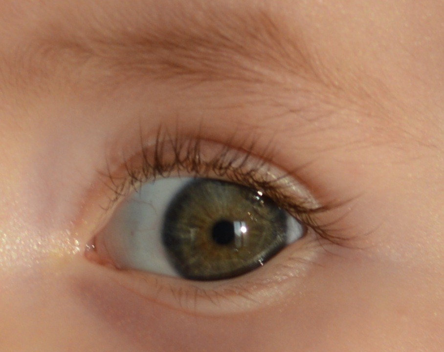 Couleur Yeux Bebe 5 Mois Papa Yeux Bleus Maman Yeux Marrons Verts Page 2 Developpement De L Enfant Forum Grossesse Amp Bebe Doctissimo Couleur Yeux Bebe 5 Mois Papa Yeux Bleus Maman Yeux Marrons Verts Page 2 Developpement De L Enfant Forum Grossesse Amp Bebe Doctissimo