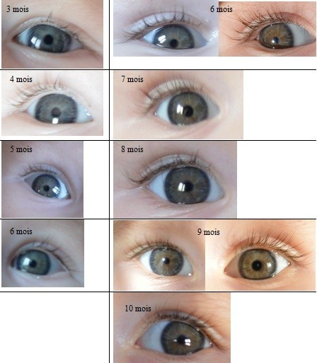 Couleur Yeux Bebe 5 Mois Janvier 18 Bebe Grandit Forum Grossesse Amp Bebe Doctissimo Couleur Yeux Bebe 5 Mois Janvier 18 Bebe Grandit Forum Grossesse Amp Bebe Doctissimo