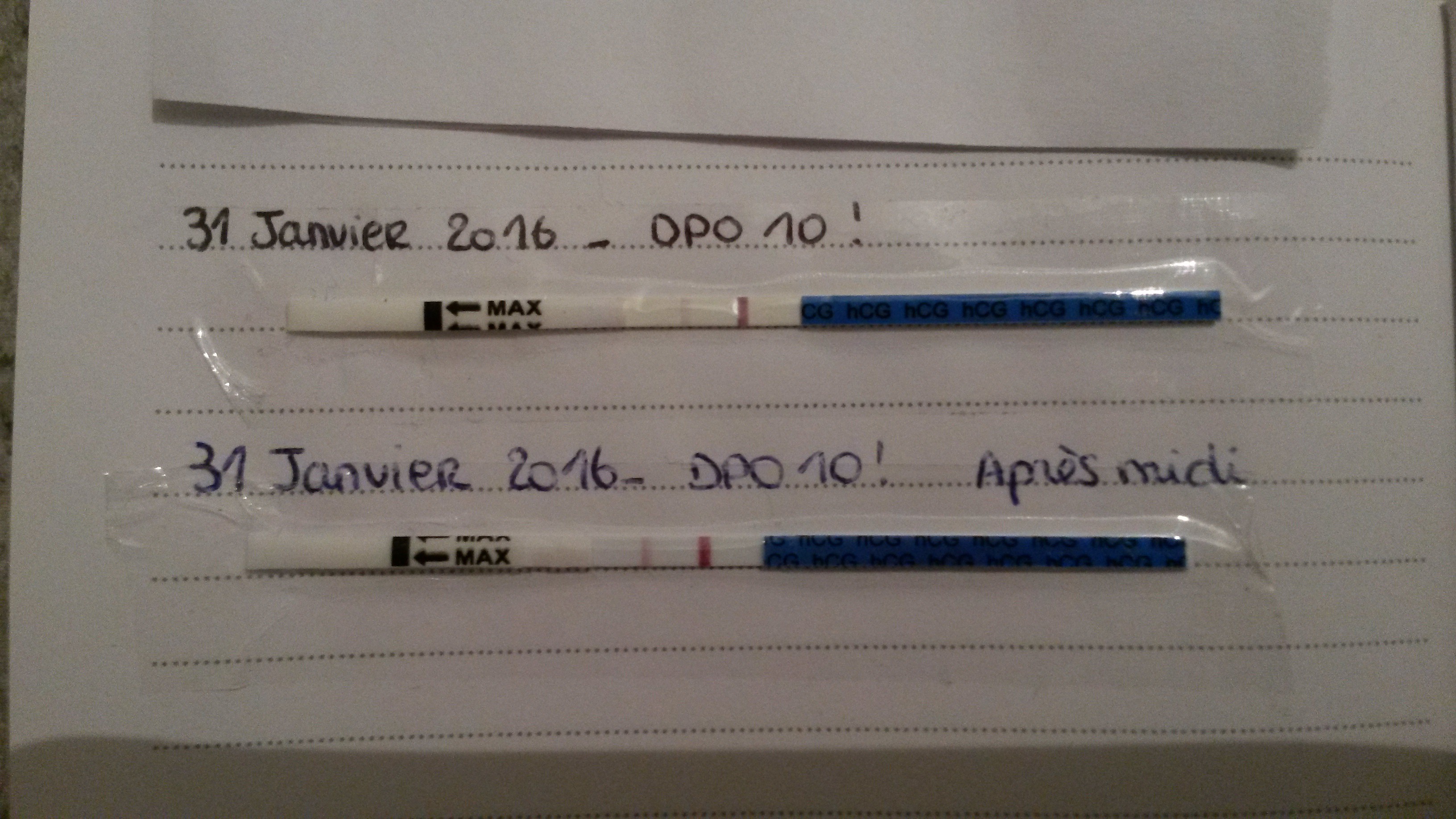 Courbe de temperature pas toujours fiable !! Ovulation FORUM