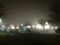 brouillard 22.12.2020