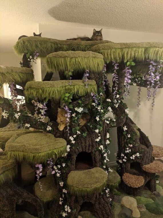 arbre à chats