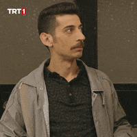 img-31074711fd2.gif img-31074711fd2.gif