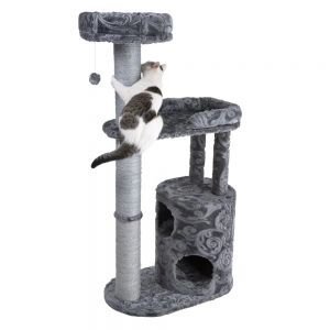 Quel Arbre A Chats Pour Un Maine Coon Chats Forum Animaux Quel Arbre A Chats Pour Un Maine Coon Chats Forum Animaux