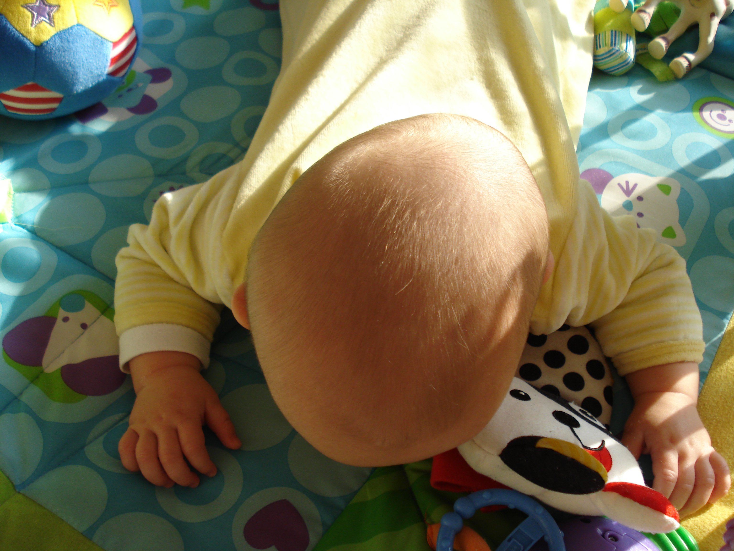 Alan A La Tete Plate Mais Alors Tres Plate Bebes De L Annee Forum Grossesse Amp Bebe Doctissimo Alan A La Tete Plate Mais Alors Tres Plate Bebes De L Annee Forum Grossesse Amp Bebe Doctissimo