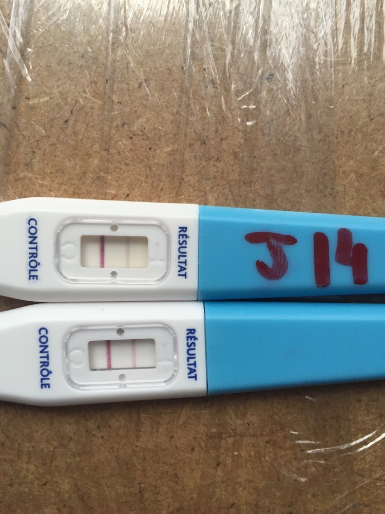 Pas De Règles Mais Pertes Blanches Et Test Négatif