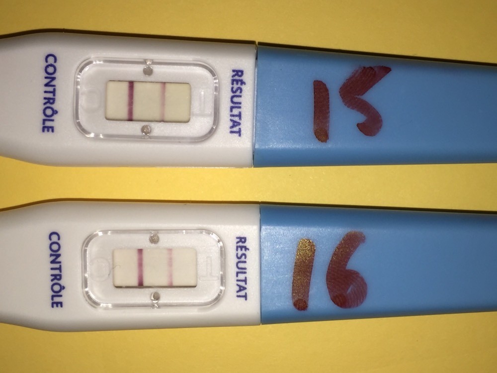 test ovulation positif ??? Courbe de température ovulation FORUM