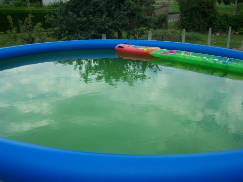 Ma Piscine Est Toute Verte C Est Bon Elle Est Revenue Bleue Jumeaux Triples Et Plus Forum Grossesse Bebe